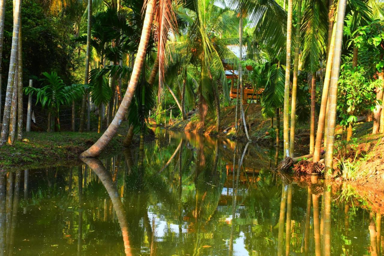 Wild Lake Side Udawalawe Exterior foto