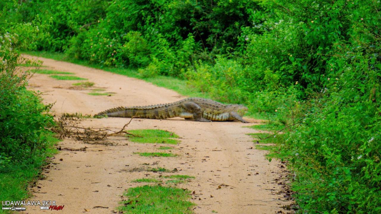 Wild Lake Side Udawalawe Exterior foto